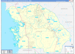 Homosassa Springs Metro Area Wall Map Color Cast Style 2024
